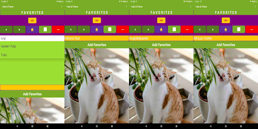 Cats and Plant - Pets App