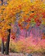 screenshot of Jigsaw Puzzles Real Jigsaws