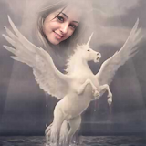 Pegasus Photo Frame icon