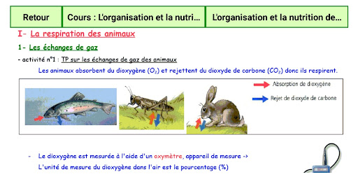 Cours SVT 5ème Screen 3