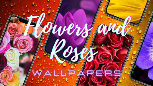 Flowers and roses wallpapers