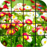 Spring Flowers Puzzle Games icon