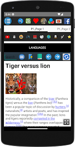 Lion vs Tiger Animal Fight
