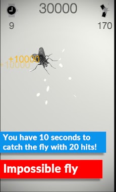 Catch the Flyのおすすめ画像2