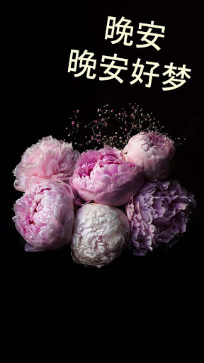 Android application 晚安 GIF 2023 screenshort