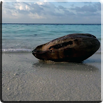 Cover Image of Download Sea Video Live Wallpaper 2.0 APK