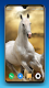 screenshot of Horse Wallpapers 4K