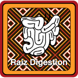 Raizdigestion Organ Pencernaan icon