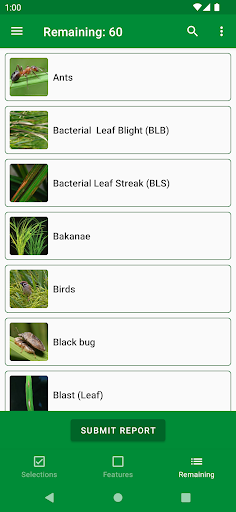 Rice Doctor Assam EN Screen 3