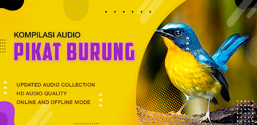 Suara Burung: Pikat & Masteran