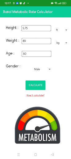 BMR Calculator Screen 2