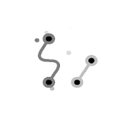 Mycelium Loops app icon