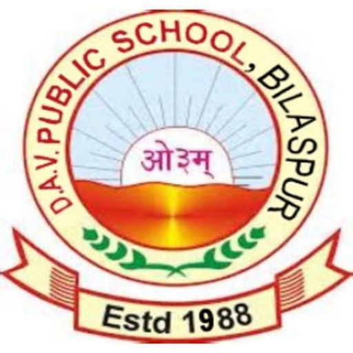 DAV BSP logo