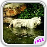 White Tiger Water Touch icon