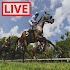 Horse Racing Live Stream