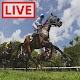 Horse Racing Live Stream