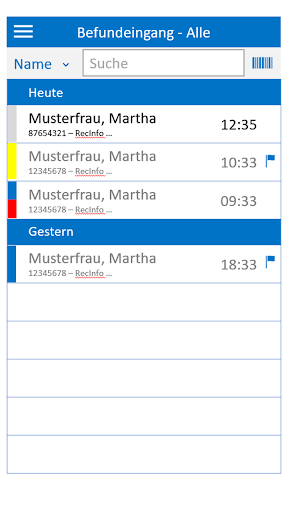 ix.connect mobiler Befund Screen 2