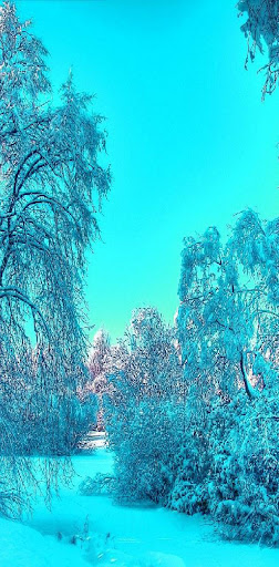 Winter Scene Wallpaper