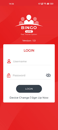 Bingo Lite Screen 3
