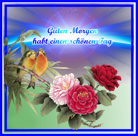 Schönen Tag Bilder Screen 2