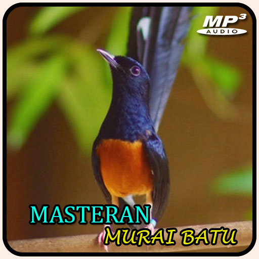 Masteran Murai Batu Offline logo