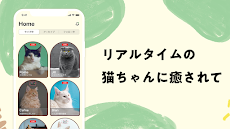 nekochan - 猫だけのライブ配信アプリのおすすめ画像2