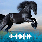 Cover Image of Download Horse sounds Ringtones  APK