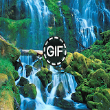 Live Wallpapers Gif Animated icon