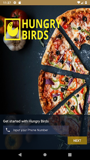 Android application Hungry Birds screenshort