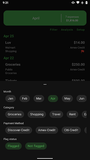 Expense Manager Screen 3