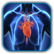 Top 48 Education Apps Like Cardiology Explained - Current Practice Guidelines - Best Alternatives