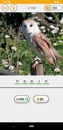 מה בתמונה - גלו מה מסתתר Screen 2