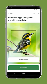 Imej tangkapan skrin