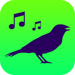 Cover Image of Download Sounds of birds  APK