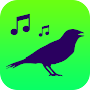 Sounds of birds