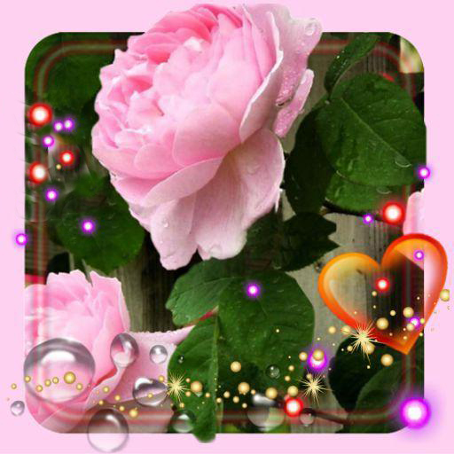 Spring Love LWP 1.12 Icon