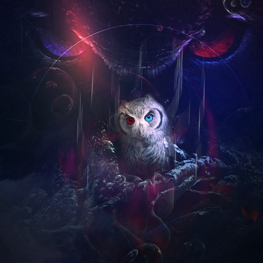 Owl wallpapers logo