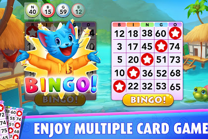 play bingo party free bingo games
