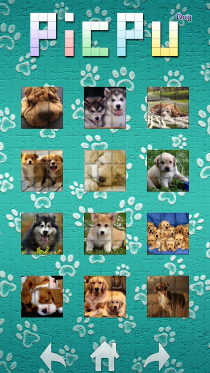 PicPu - Dog Picture Puzzle - 6.06 - (Android)