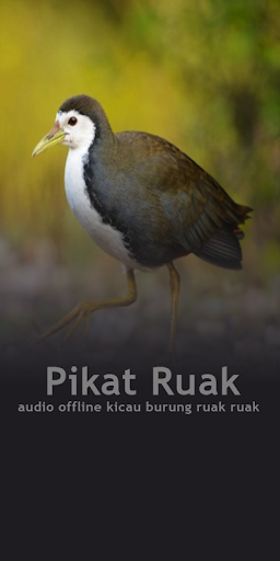 Pratinjau aplikasi