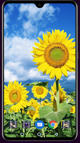 Captura de Pantalla 13 Sunflower Wallpaper android