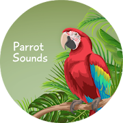 Parrot Nature Sounds