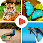 Animals Learning - Animals for Kids Apk