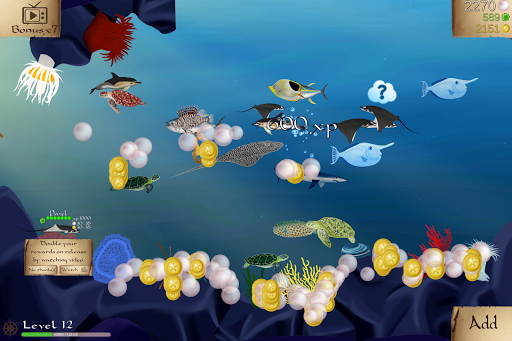 Coral Reef Screen 3