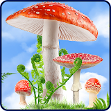 Mushroom HD Live Wallpaper icon