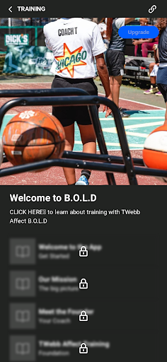 Screenshot of TWebbAffect B.O.L.D.
