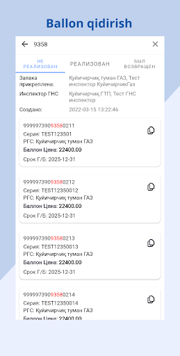 E-Gaz Screen 3