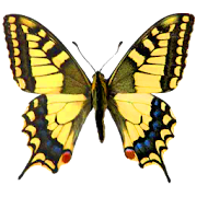 Top 33 Education Apps Like Atlas of Czech Butterflies - Best Alternatives