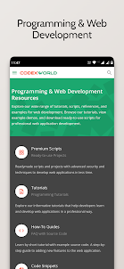 CodexWorld - Web Development