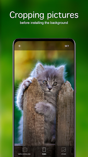 Screenshot of Kitten Wallpapers 4K